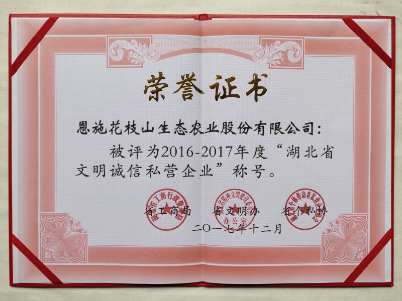 2.1湖北省文明誠信私營企業(yè).jpg